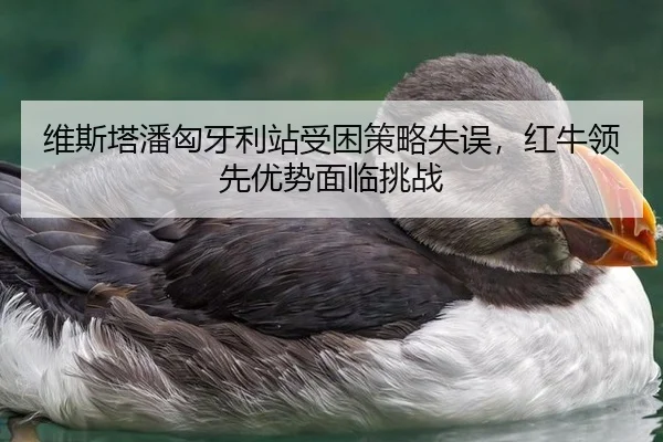 wei-si-ta-pan-xiong-ya-li-zhan-shou-kun-ce-lve-shi-wu-hong-niu-ling-xian-you-shi-mian-lin-tiao-zhan-2-381.jpg