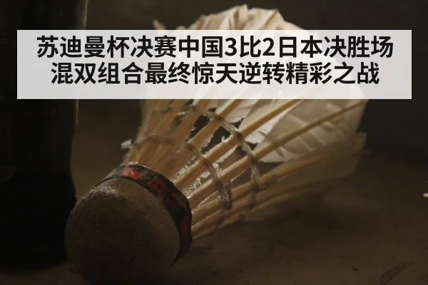 苏迪曼杯决赛中国3比2日本决胜场混双组合最终惊天逆转精彩之战